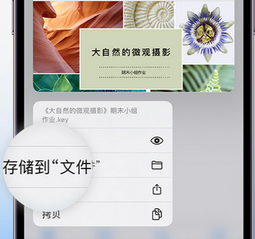 永顺apple维修中心分享iPhone文件应用中存储和找到下载文件