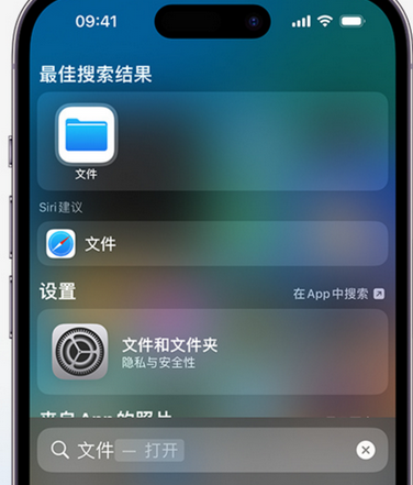 永顺apple维修中心分享iPhone文件应用中存储和找到下载文件 