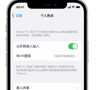 永顺apple服务站点分享iPhone上个人热点丢失了怎么办