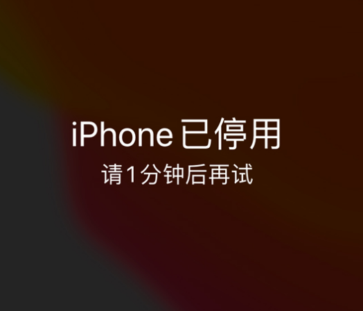 永顺苹果手机维修分享:iPhone 显示“不可用”或“已停用”怎么办？还能保留数据吗？ 