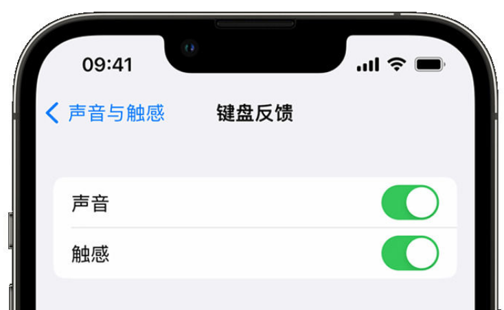 永顺苹果手机维修分享iPhone 14触感键盘使用方法 