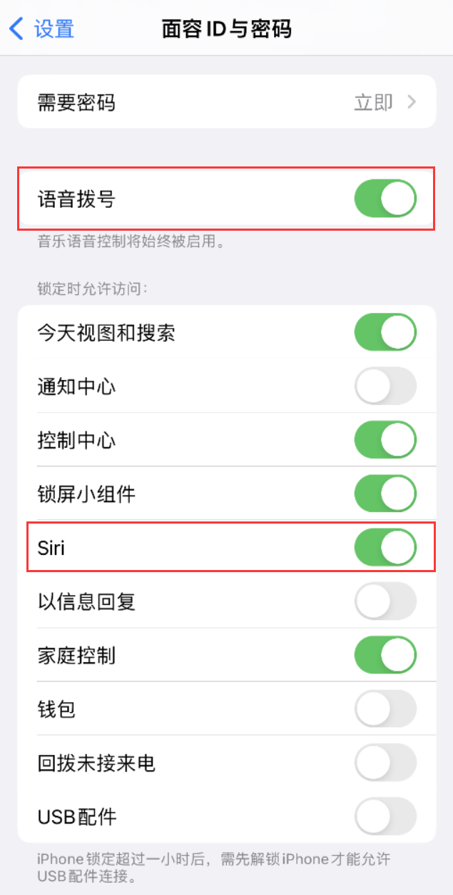 永顺苹果维修网点分享不解锁 iPhone 的情况下通过 Siri 拨打电话的方法 