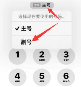 永顺苹果14维修店分享iPhone 14 Pro Max使用副卡打电话的方法 