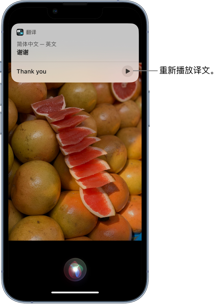 永顺苹果14维修分享 iPhone 14 机型中使用 Siri：了解 Siri 能帮你做什么 