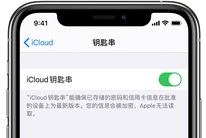 永顺苹果手机维修分享在 iPhone 上开启 iCloud 钥匙串之后会储存哪些信息 