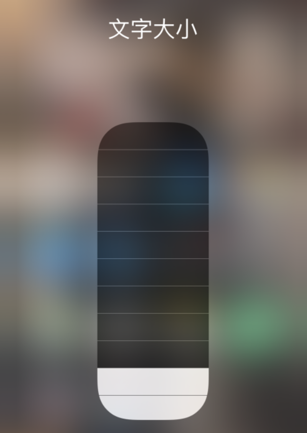 永顺苹果手机维修分享小技巧：在 iPhone 控制中心快速调节字体大小 