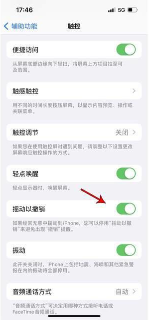 永顺苹果手机维修分享iPhone手机如何设置摇一摇删除文字 